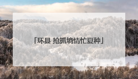 环县 抢抓墒情忙夏种