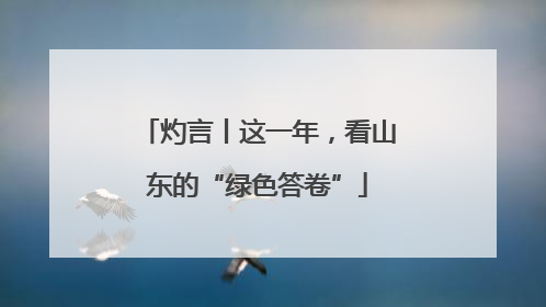 灼言丨这一年，看山东的“绿色答卷”