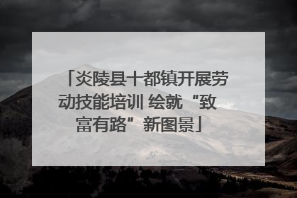 炎陵县十都镇开展劳动技能培训 绘就“致富有路”新图景