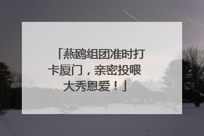 燕鸥组团准时打卡厦门，亲密投喂大秀恩爱！