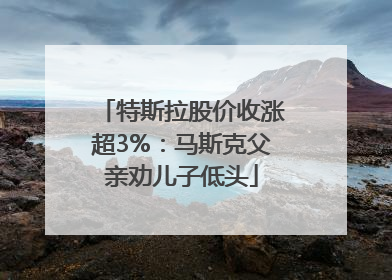 特斯拉股价收涨超3%：马斯克父亲劝儿子低头