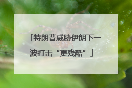 特朗普威胁伊朗下一波打击“更残酷”