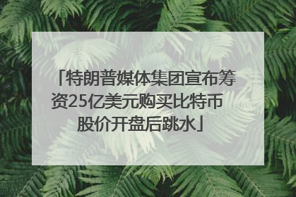 特朗普媒体集团宣布筹资25亿美元购买比特币 股价开盘后跳水