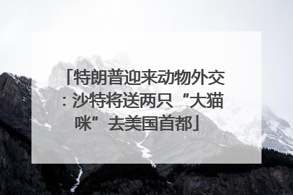 特朗普迎来动物外交：沙特将送两只“大猫咪”去美国首都