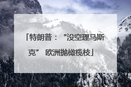 特朗普：“没空理马斯克” 欧洲抛橄榄枝