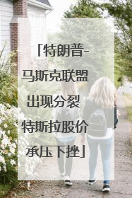 特朗普-马斯克联盟出现分裂 特斯拉股价承压下挫