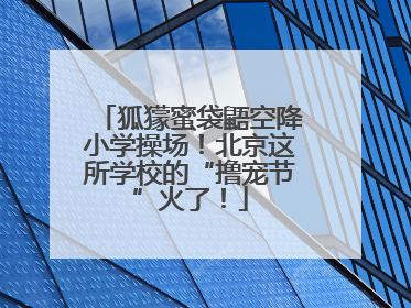 狐獴蜜袋鼯空降小学操场！北京这所学校的“撸宠节”火了！