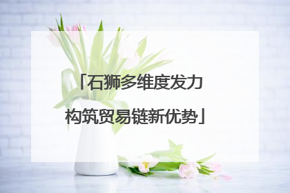 石狮多维度发力 构筑贸易链新优势
