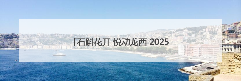 石斛花开 悦动龙西 2025龙西乡荧光村跑活动圆满举行