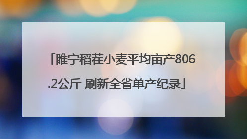 睢宁稻茬小麦平均亩产806.2公斤 刷新全省单产纪录