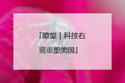 瞭望｜科技右翼重塑美国