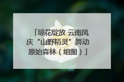 琼花绽放 云南凤庆“山野精灵”舞动原始森林（组图）