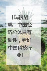 瑞银胡一帆：中国经济总体具有韧性，看好中国科技行业