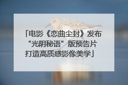 电影《恋曲尘封》发布“光阴秘语”版预告片 打造高质感影像美学