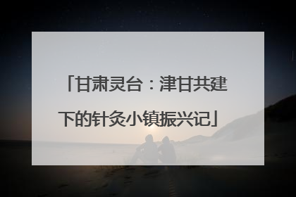 甘肃灵台：津甘共建下的针灸小镇振兴记