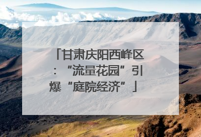 甘肃庆阳西峰区：“流量花园”引爆“庭院经济”