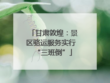 甘肃敦煌：景区骆运服务实行“三班倒”