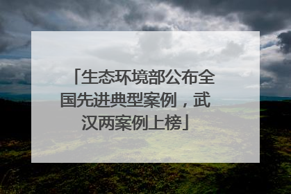 生态环境部公布全国先进典型案例，武汉两案例上榜