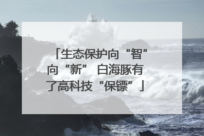 生态保护向“智”向“新” 白海豚有了高科技“保镖”