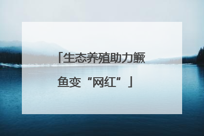 生态养殖助力鳜鱼变“网红”