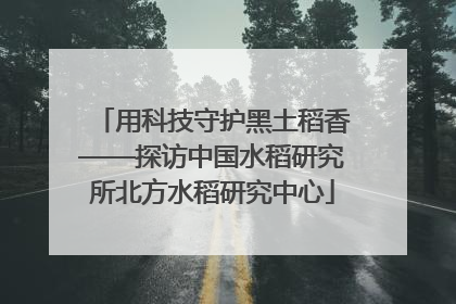 用科技守护黑土稻香——探访中国水稻研究所北方水稻研究中心