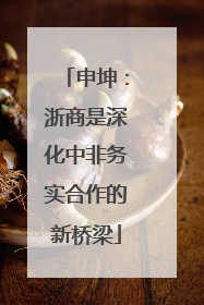 申坤：浙商是深化中非务实合作的新桥梁