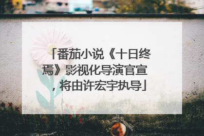 番茄小说《十日终焉》影视化导演官宣，将由许宏宇执导