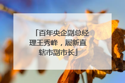 百年央企副总经理王秀峰，履新直辖市副市长