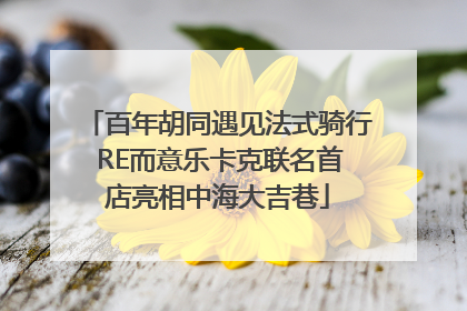 百年胡同遇见法式骑行 RE而意乐卡克联名首店亮相中海大吉巷