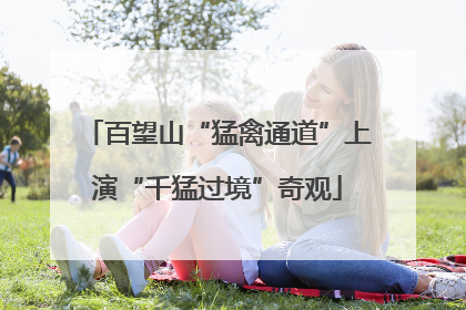 百望山“猛禽通道”上演“千猛过境”奇观