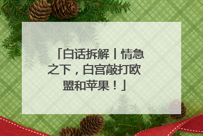 白话拆解丨情急之下，白宫敲打欧盟和苹果！