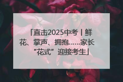 直击2025中考丨鲜花、掌声、拥抱……家长“花式”迎接考生