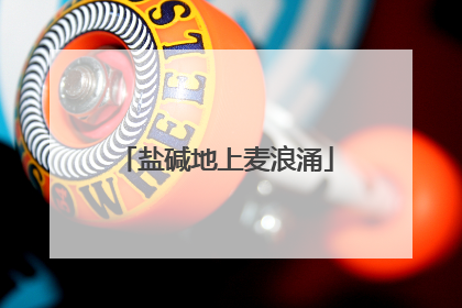 盐碱地上麦浪涌