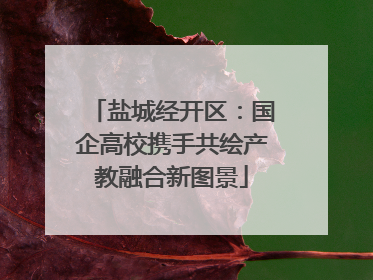 盐城经开区：国企高校携手共绘产教融合新图景