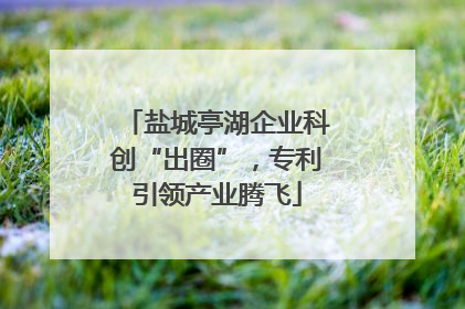 盐城亭湖企业科创“出圈”，专利引领产业腾飞