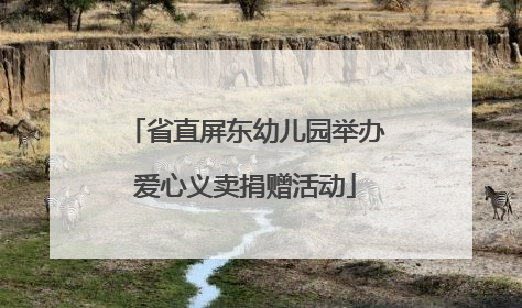 省直屏东幼儿园举办爱心义卖捐赠活动