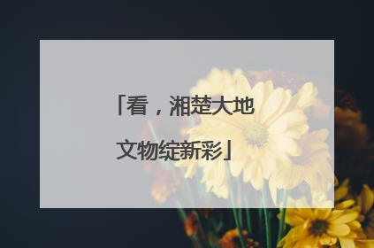 看，湘楚大地文物绽新彩