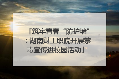 筑牢青春“防护墙”：湖南财工职院开展禁毒宣传进校园活动