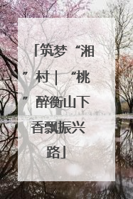 筑梦“湘”村｜“桃”醉衡山下 香飘振兴路