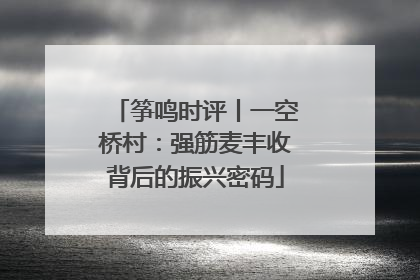 筝鸣时评丨一空桥村：强筋麦丰收背后的振兴密码