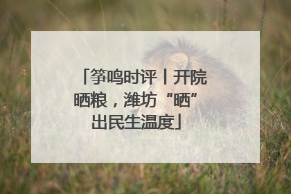 筝鸣时评丨开院晒粮，潍坊“晒”出民生温度