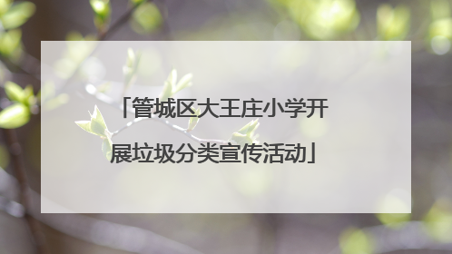 管城区大王庄小学开展垃圾分类宣传活动