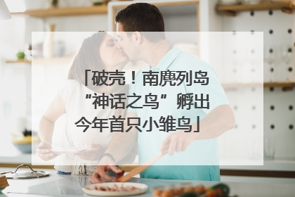 破壳！南麂列岛“神话之鸟”孵出今年首只小雏鸟