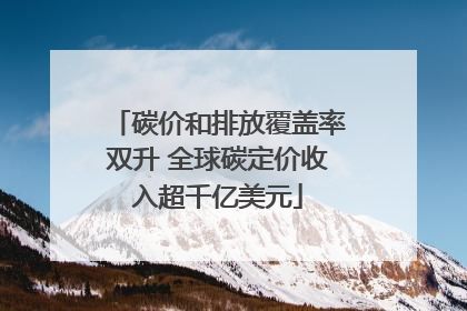 碳价和排放覆盖率双升 全球碳定价收入超千亿美元
