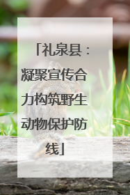礼泉县：凝聚宣传合力构筑野生动物保护防线