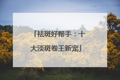 祛斑好帮手：十大淡斑卷王新宠