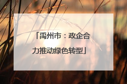 禹州市：政企合力推动绿色转型