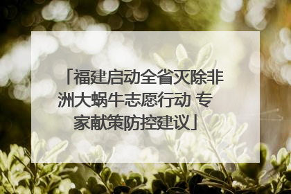 福建启动全省灭除非洲大蜗牛志愿行动 专家献策防控建议