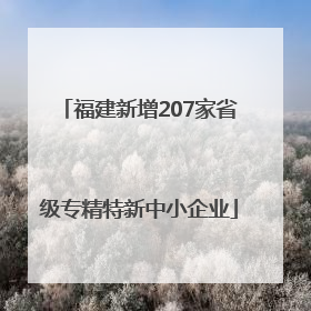 福建新增207家省级专精特新中小企业