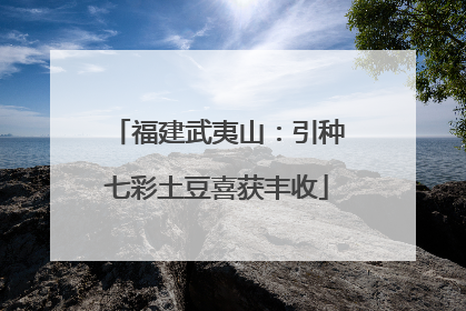 福建武夷山：引种七彩土豆喜获丰收